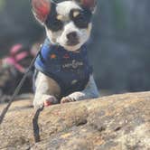 Review photo of Fall Creek Falls State Park Campground by Brett D., June 29, 2021