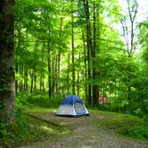Review photo of Cosby Campground — Great Smoky Mountains National Park by Erin H., July 17, 2016