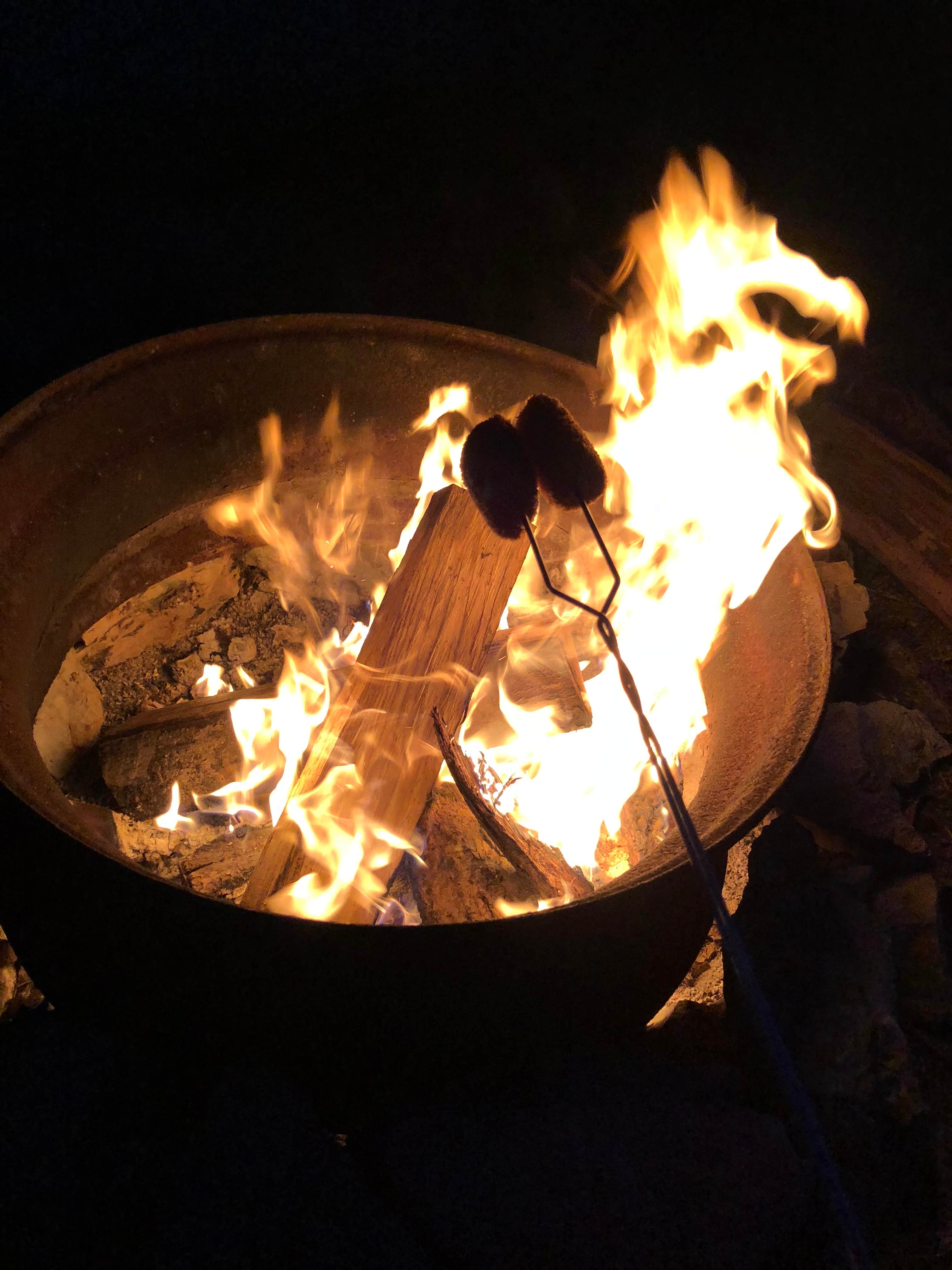 Camper submitted image from Yogi Bear's Jellystone Park in Williamsport MD - 3