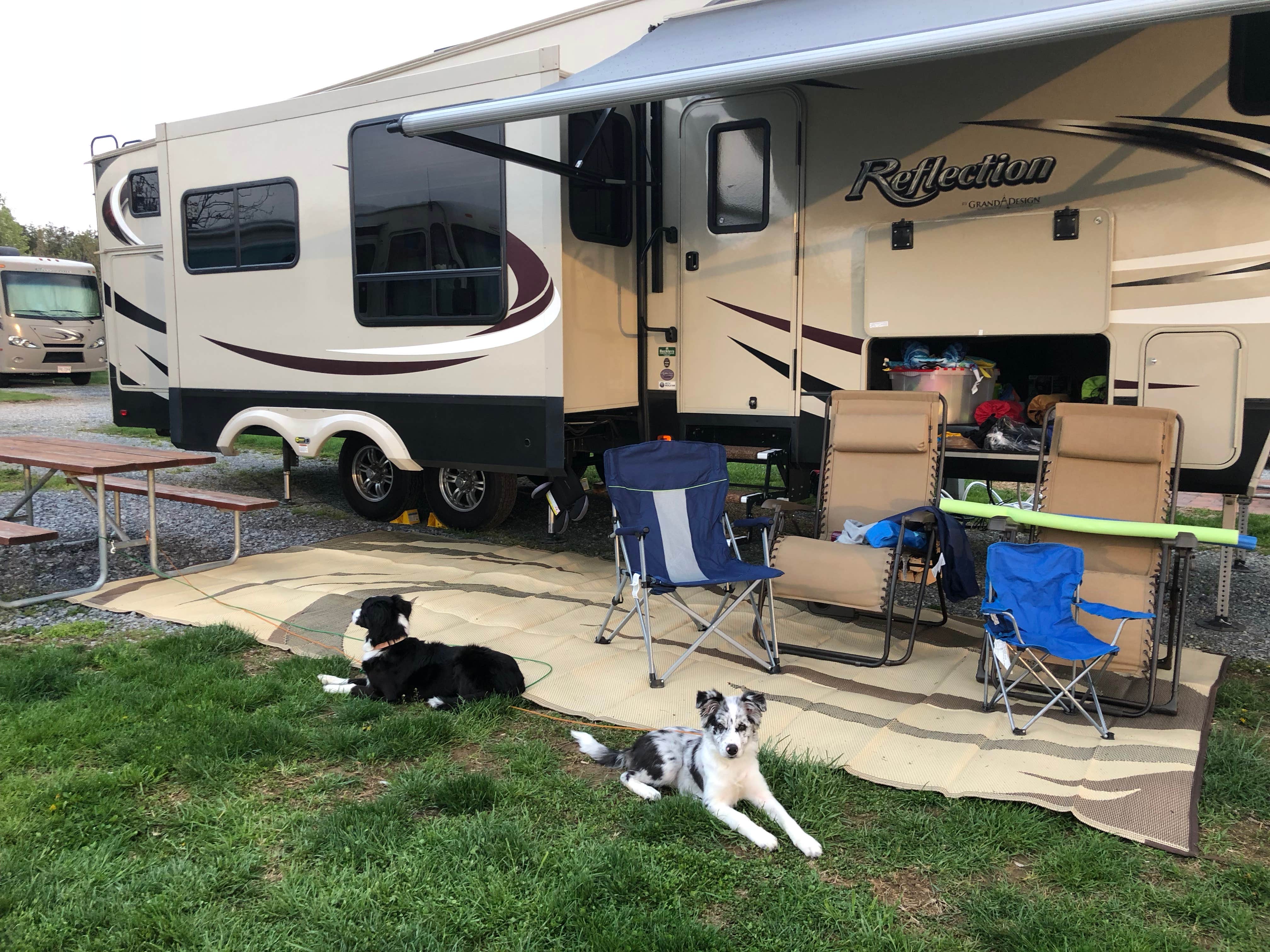 Regina C.'s photo of camping with pets at Jellystone Park™ Williamsport near Waynesboro, PA