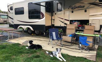 Regina C.'s photo of camping with pets at Yogi Bear's Jellystone Park in Williamsport MD near Martinsburg, WV