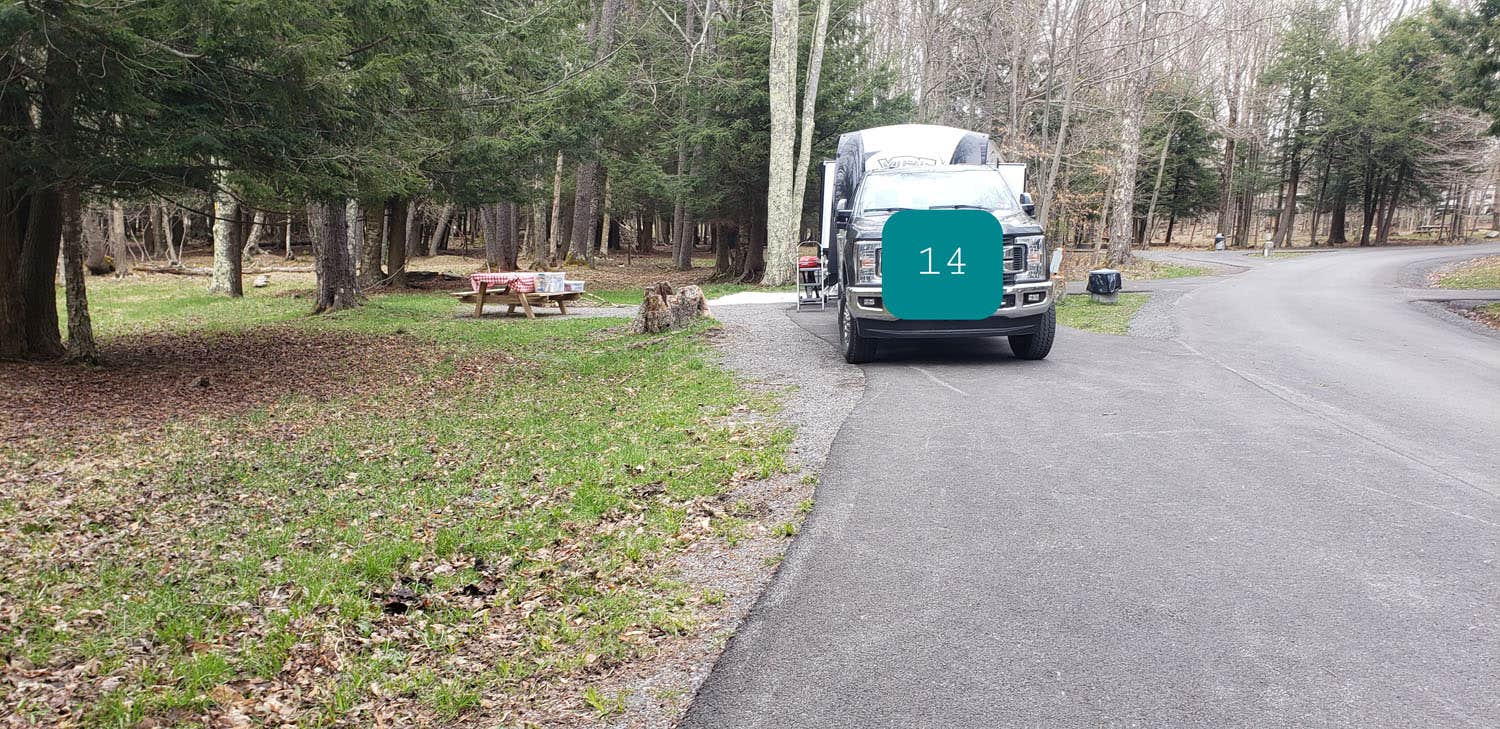 Jean C.'s photo of camping with pets at Canaan Valley Resort State Park Campground near Hendricks, WV
