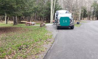Jean C.'s photo of camping with pets at Canaan Valley Resort State Park Campground in West Virginia