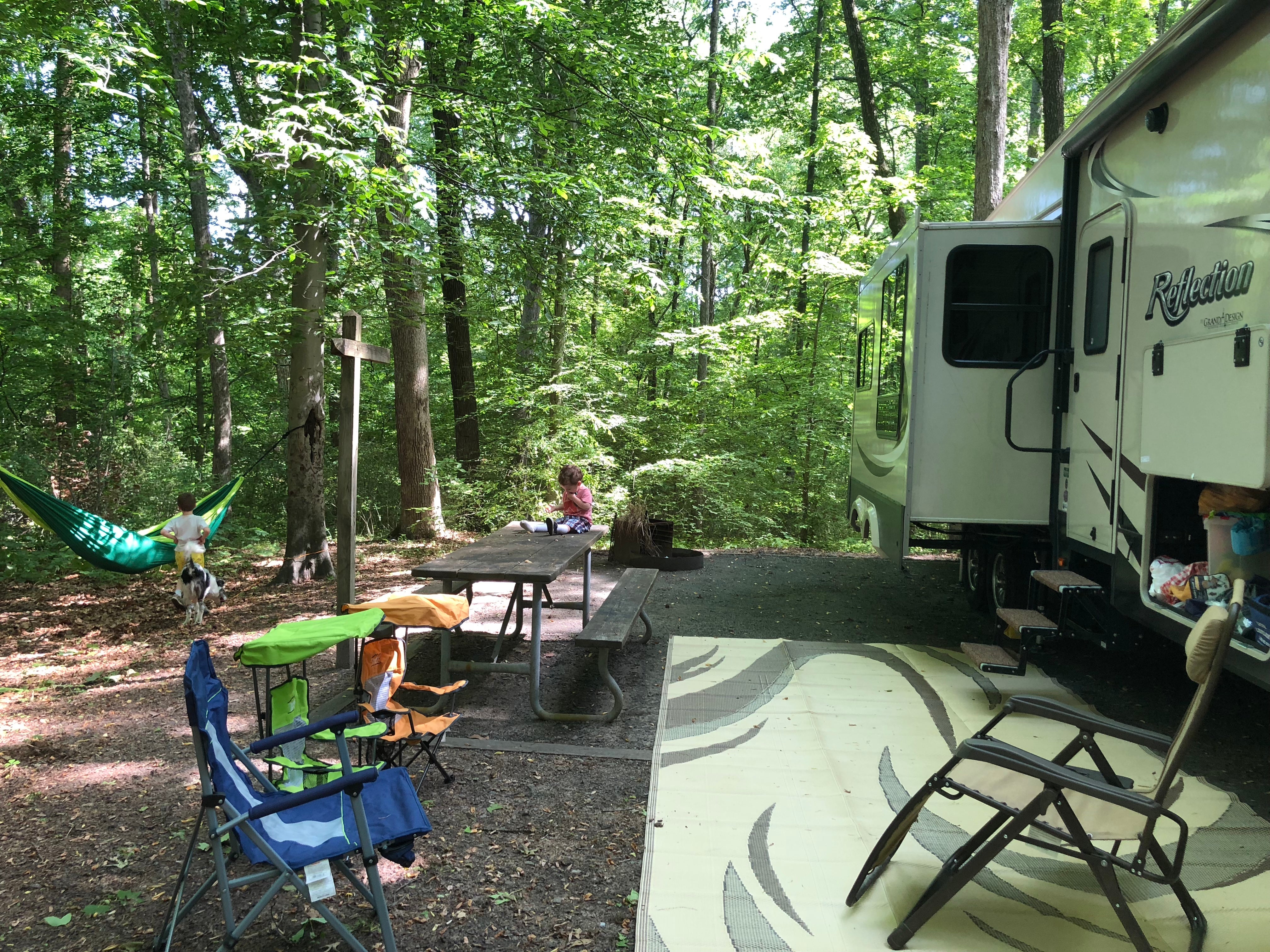 Camper submitted image from Tuckahoe State Park Campground - 3
