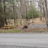 Review photo of Canaan Valley Resort State Park Campground by Jean C., June 29, 2021