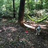 Review photo of Tuckahoe State Park Campground by Regina C., June 12, 2018