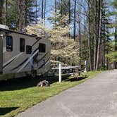 Review photo of Beckley Exhibition Coal Mine Campground by Jean C., June 29, 2021