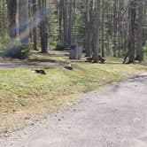 Review photo of Beckley Exhibition Coal Mine Campground by Jean C., June 29, 2021