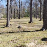 Review photo of Beckley Exhibition Coal Mine Campground by Jean C., June 29, 2021