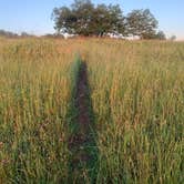 Review photo of Big Meadows Campground — Shenandoah National Park by Gary G., June 29, 2021