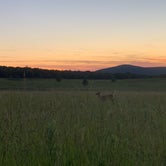 Review photo of Big Meadows Campground — Shenandoah National Park by Gary G., June 29, 2021