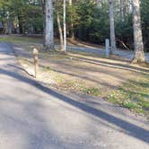 Review photo of Little Beaver State Park Campground by Jean C., June 29, 2021