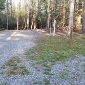 Review photo of Little Beaver State Park Campground by Jean C., June 29, 2021