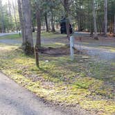 Review photo of Little Beaver State Park Campground by Jean C., June 29, 2021