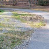 Review photo of Little Beaver State Park Campground by Jean C., June 29, 2021