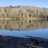 Review photo of Little Beaver State Park Campground by Jean C., June 29, 2021