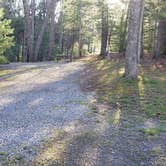 Review photo of Little Beaver State Park Campground by Jean C., June 29, 2021