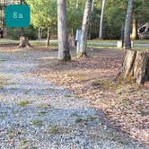 Review photo of Little Beaver State Park Campground by Jean C., June 29, 2021