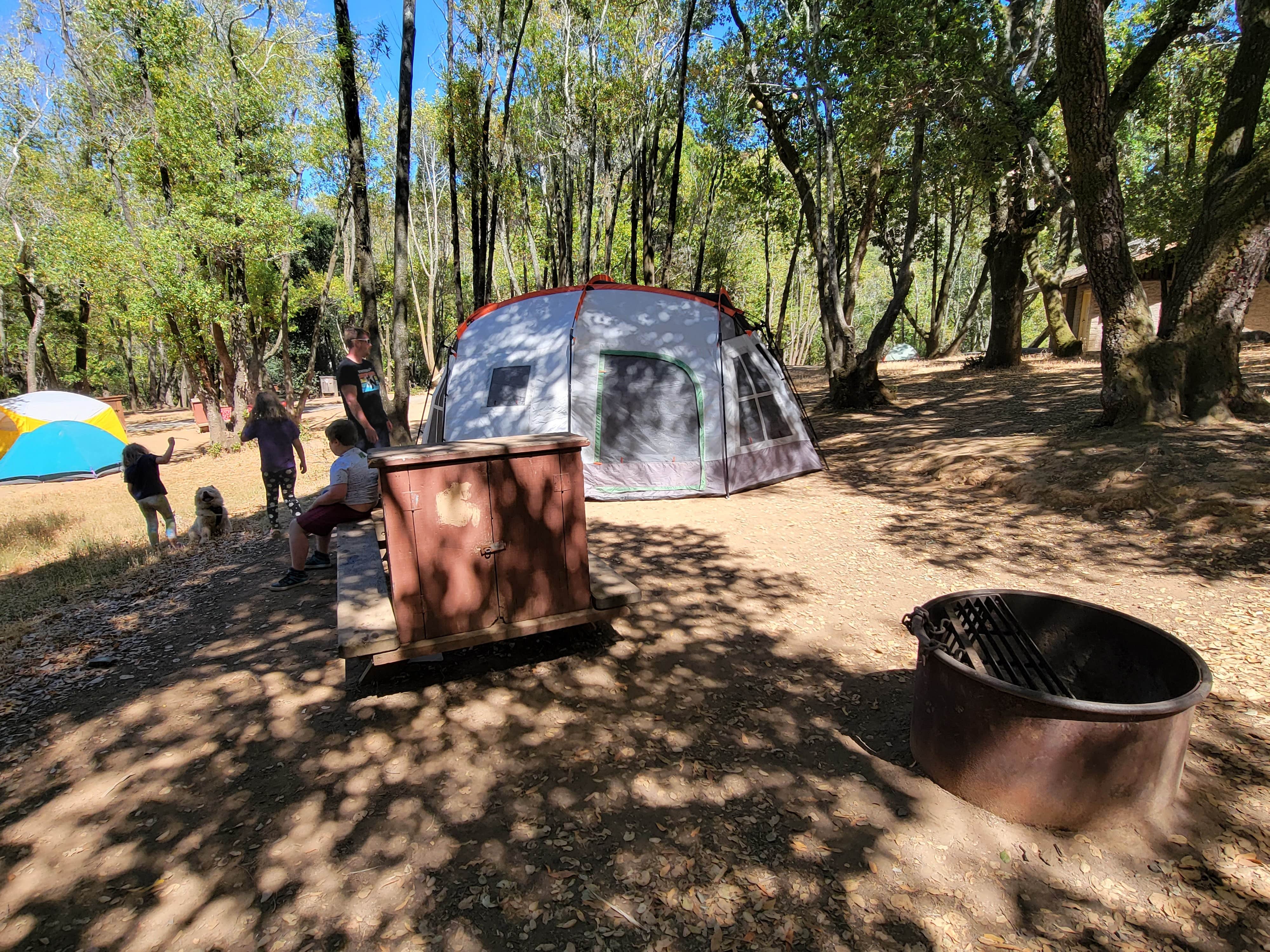 Veronica H.'s photo of tent camping at China Camp State Park Campground near Lake Elsinore, CA