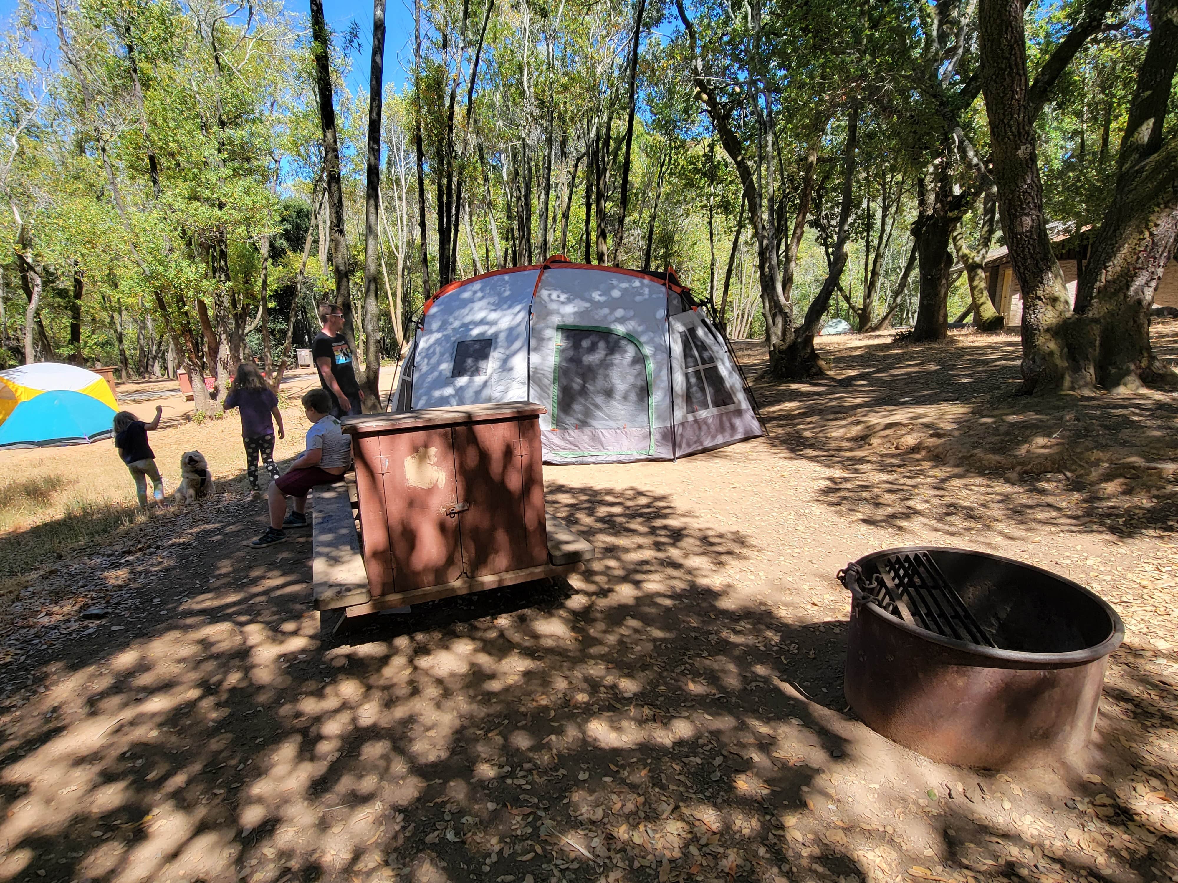 Camper submitted image from China Camp State Park Campground - 5