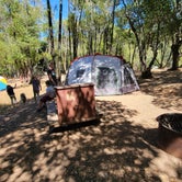 Review photo of China Camp State Park Campground by Veronica H., June 29, 2021