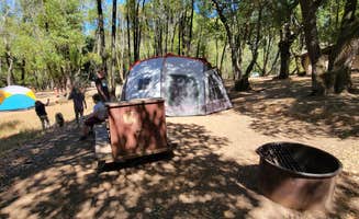 Veronica H.'s photo at China Camp State Park Campground near Long Beach, CA