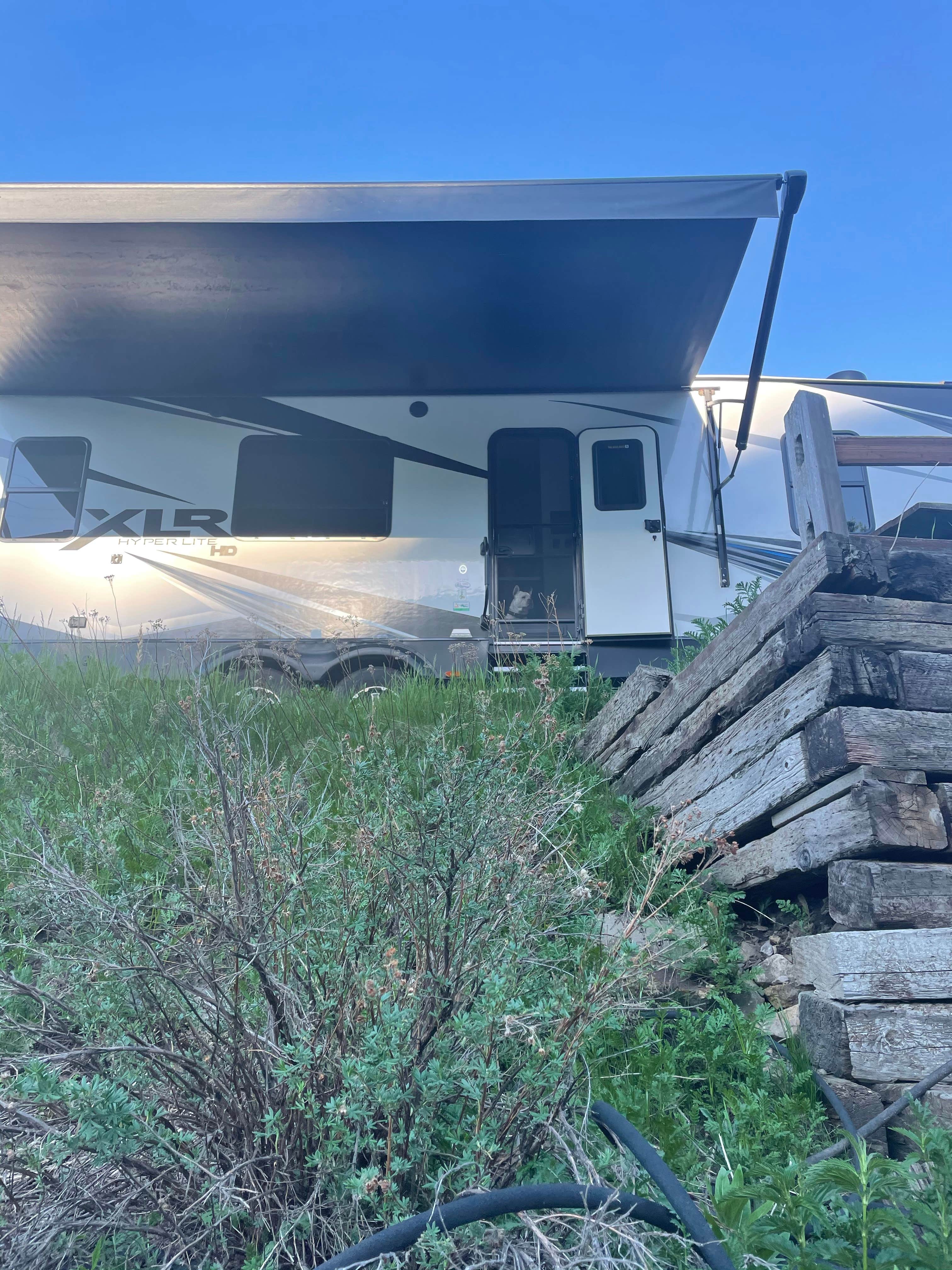 Camper submitted image from Whistler Gulch Campground & RV Park - 2