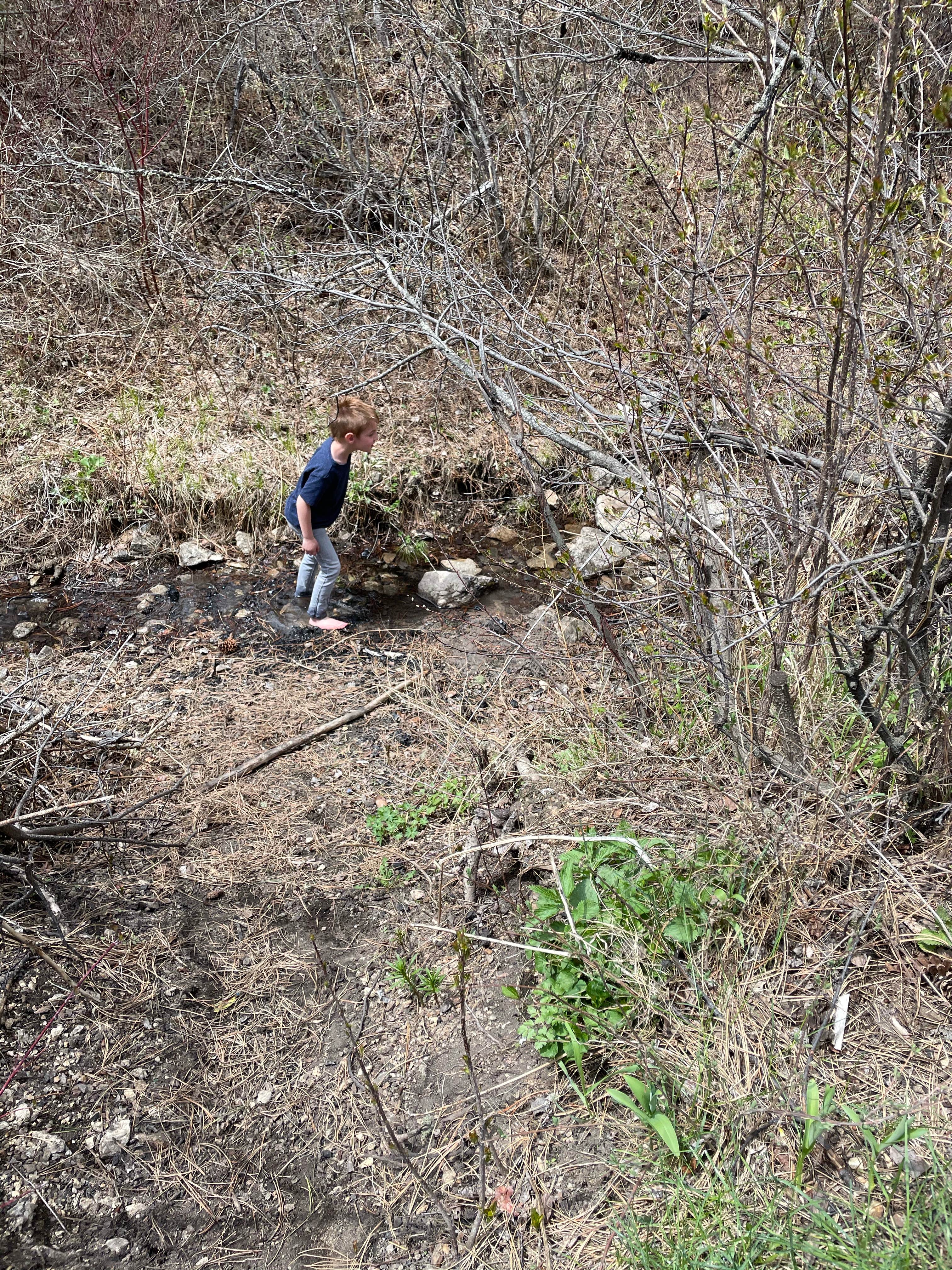 Camper submitted image from Camp Creek Campground - 3