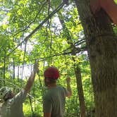 Review photo of Mammoth Cave Campground — Mammoth Cave National Park by Erin H., July 17, 2016