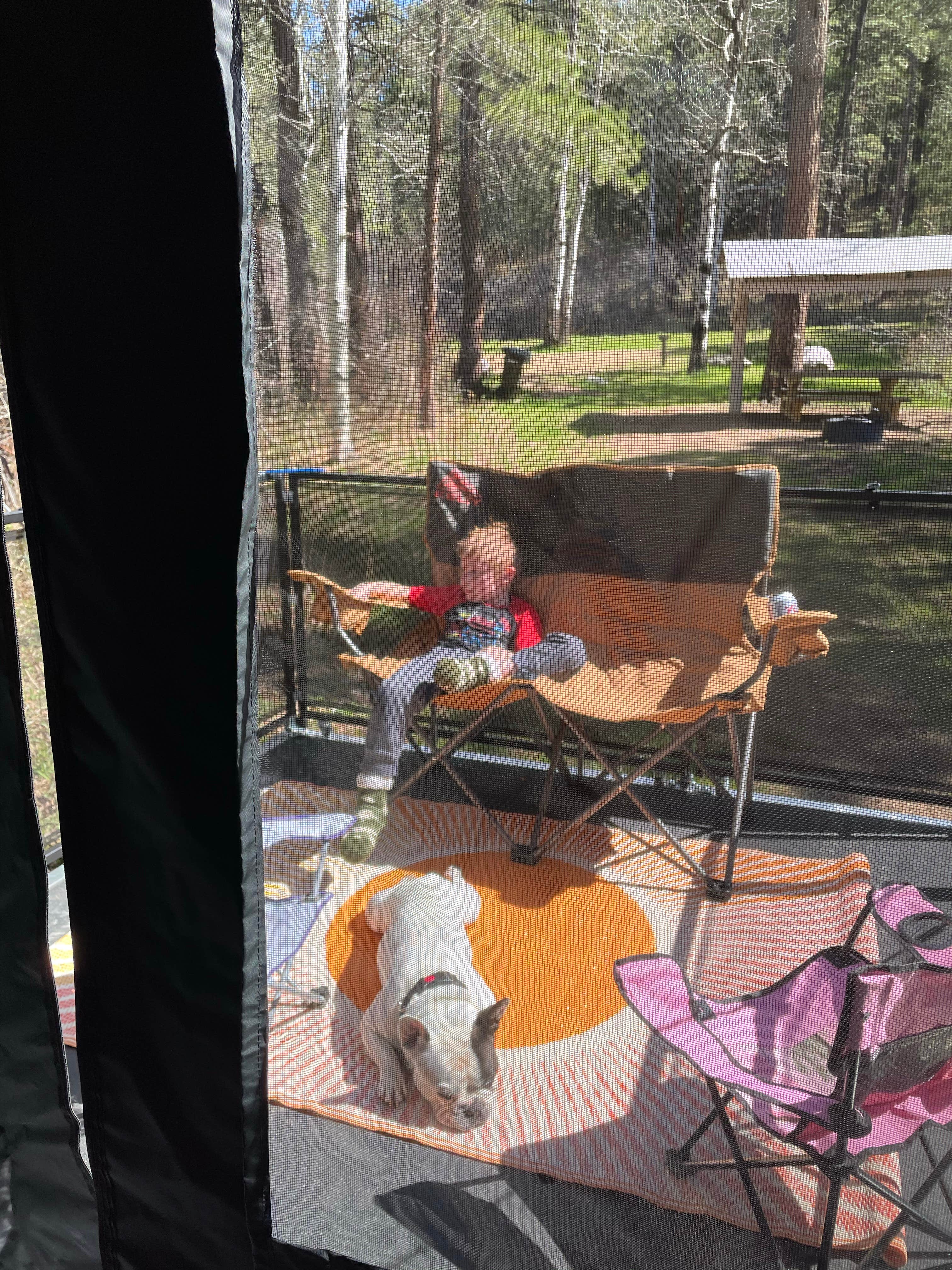 Camper submitted image from Camp Creek Campground - 2