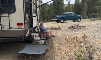 Camping near Bear Valley Dispersed Camping: Dispersed USFS, Markleeville, California