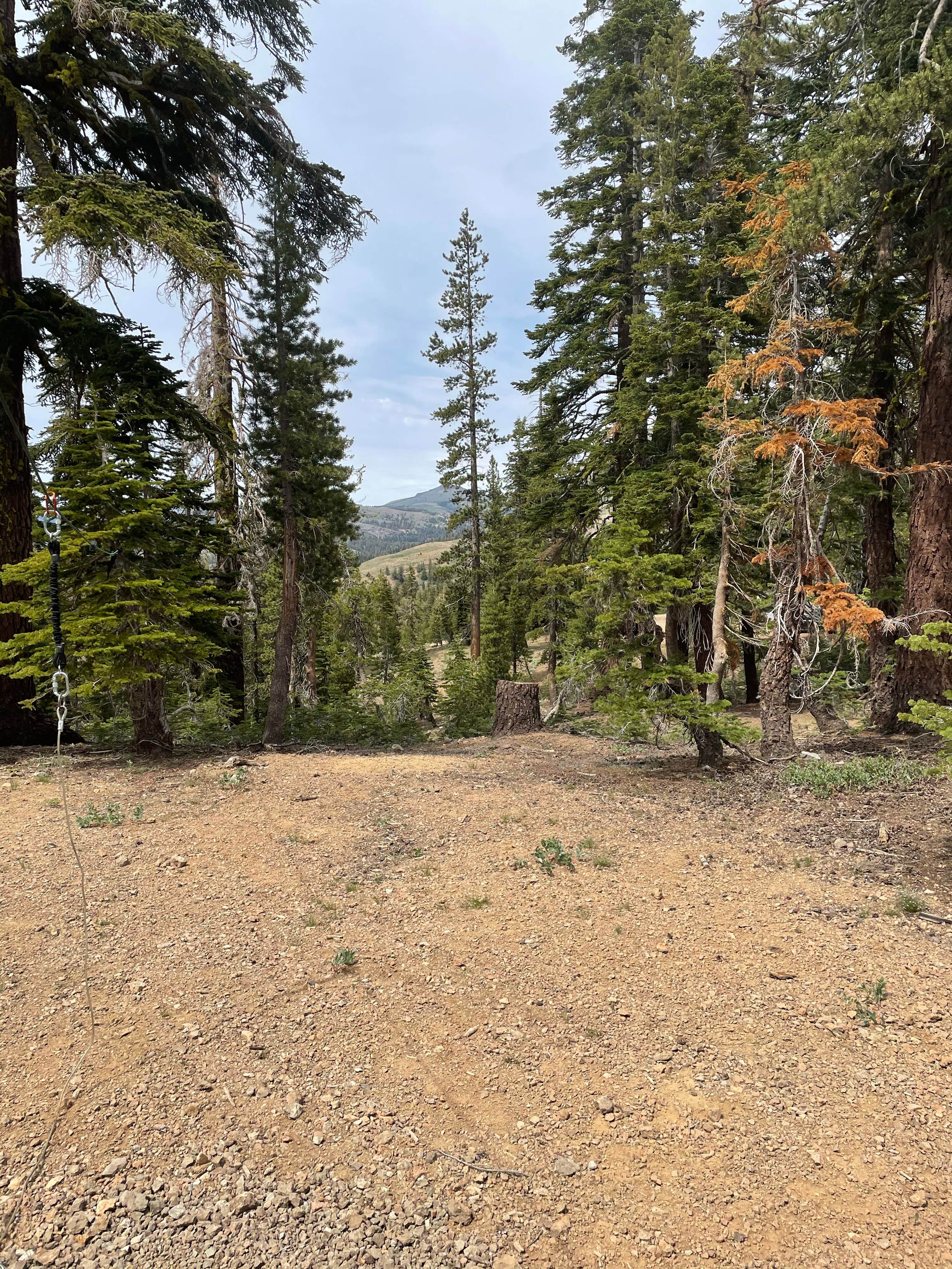 Camper submitted image from Dispersed USFS - 3