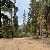 Review photo of Dispersed USFS by Don D., June 29, 2021