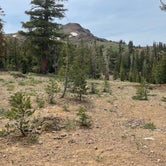 Review photo of Dispersed USFS by Don D., June 29, 2021