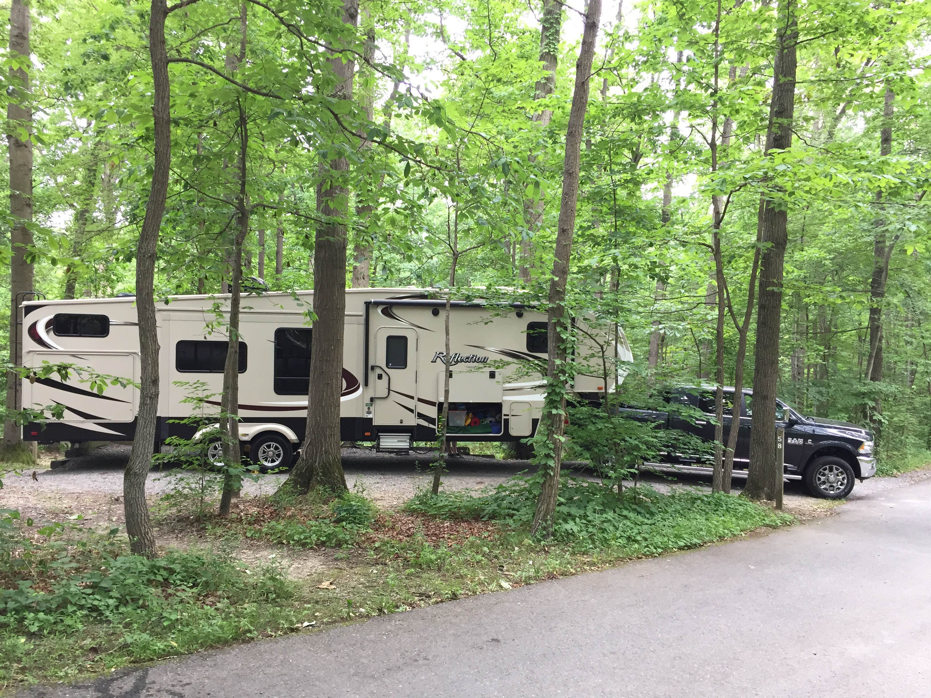 Camper submitted image from Little Bennett Campground - 3