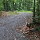 Review photo of Little Bennett Campground by Regina C., June 12, 2018