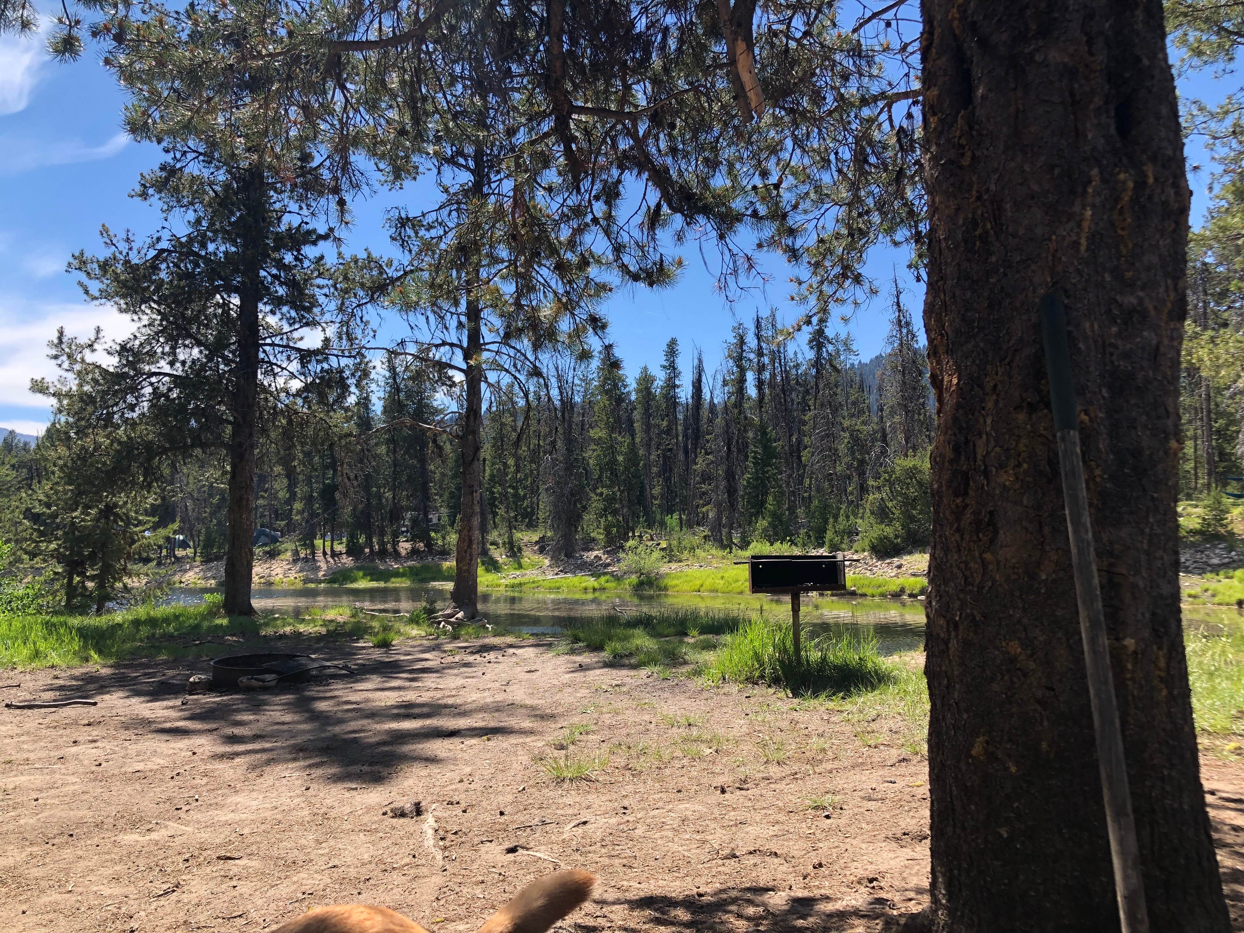 Camper-submitted photo at River Side (id - Boise) near Yellow Pine, ID