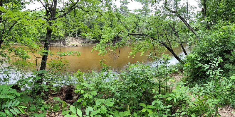 Camper submitted image from On the Saco Family Campground