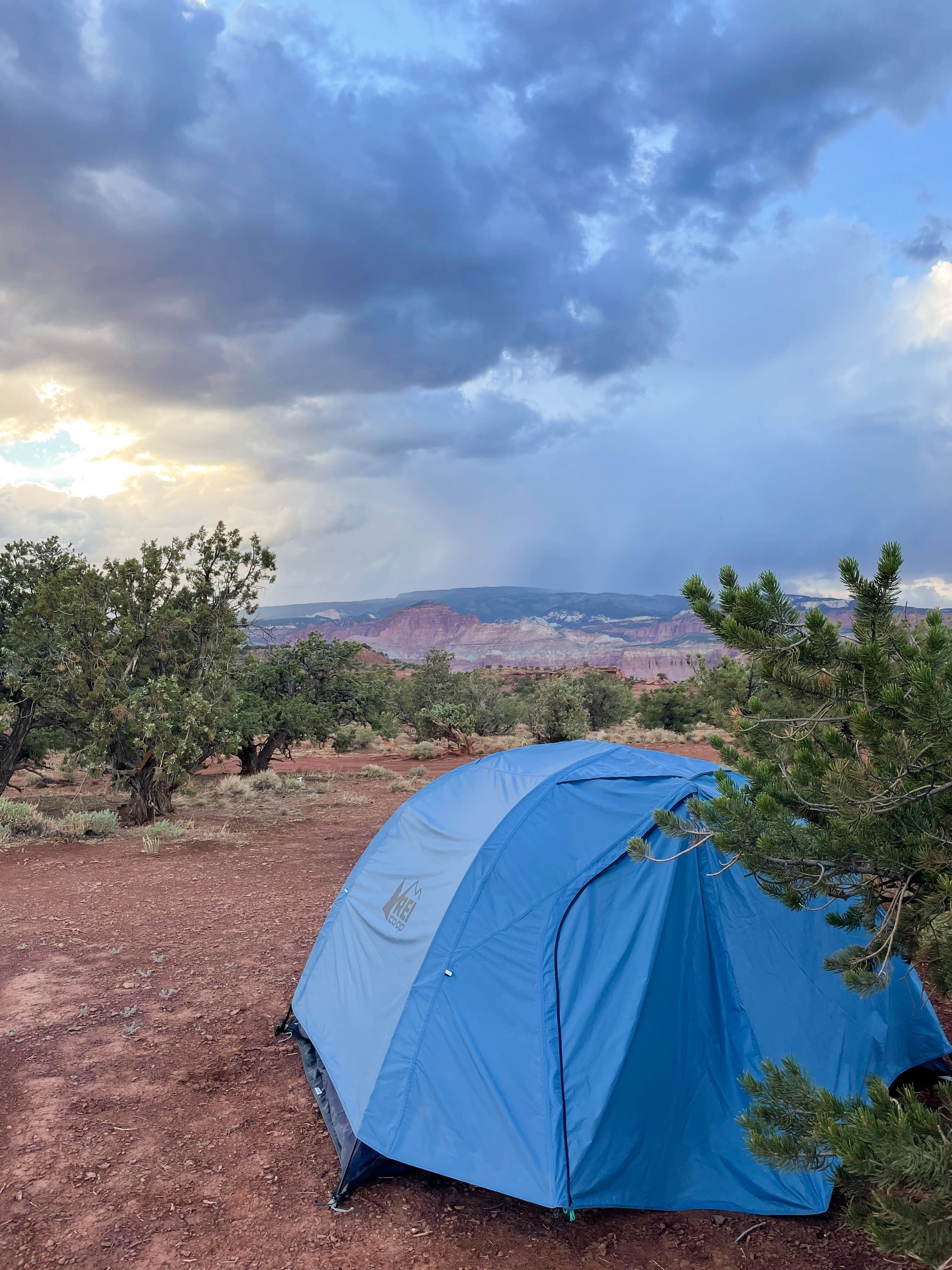 Megan H.'s photo at Beas Lewis Flat Dispersed near Capitol Reef National Park