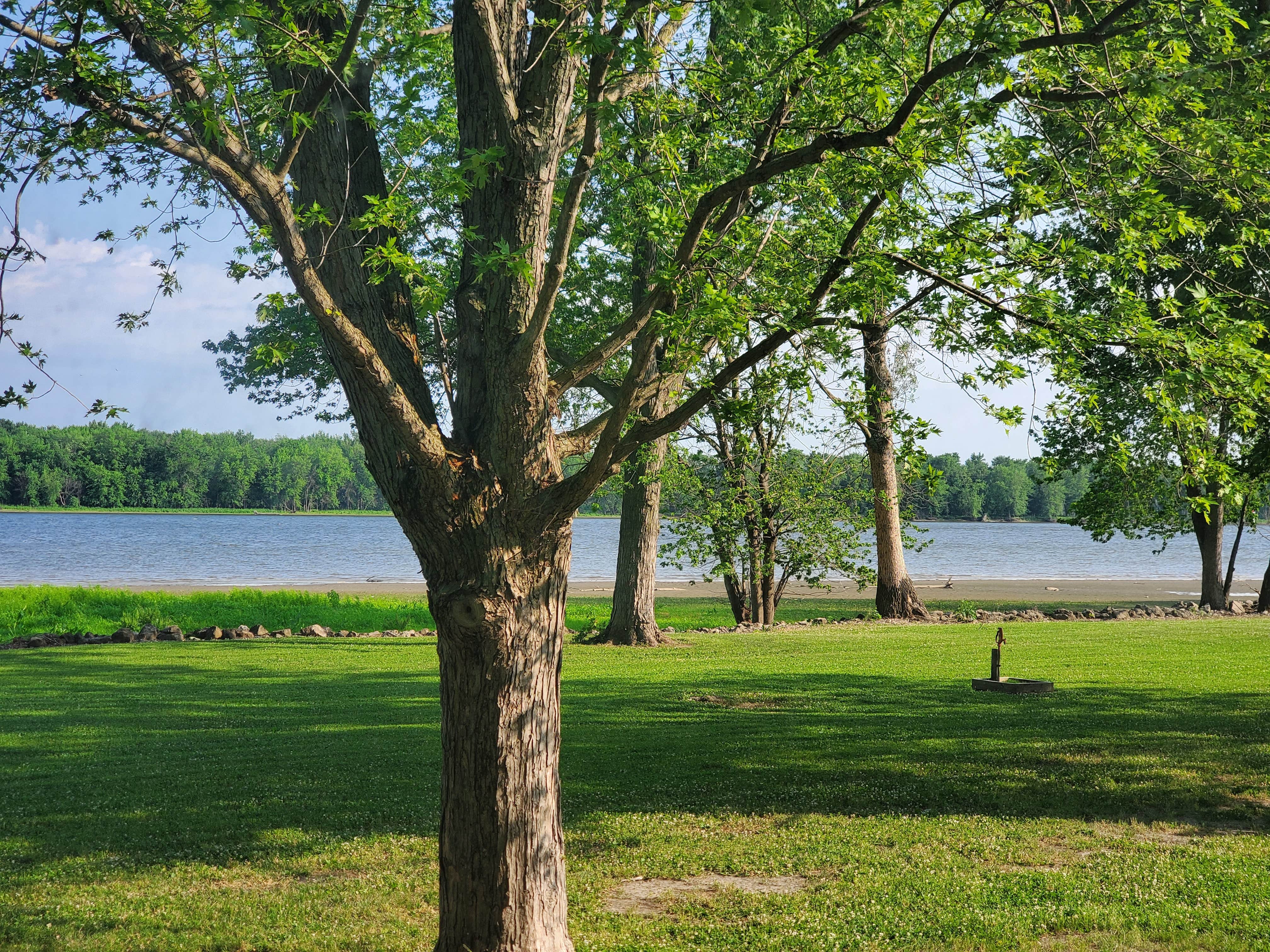 Shady Creek The Dyrt