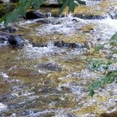 Review photo of Gifford Pinchot National Forest North Fork Forest Camp Campground by Brad D., June 30, 2021