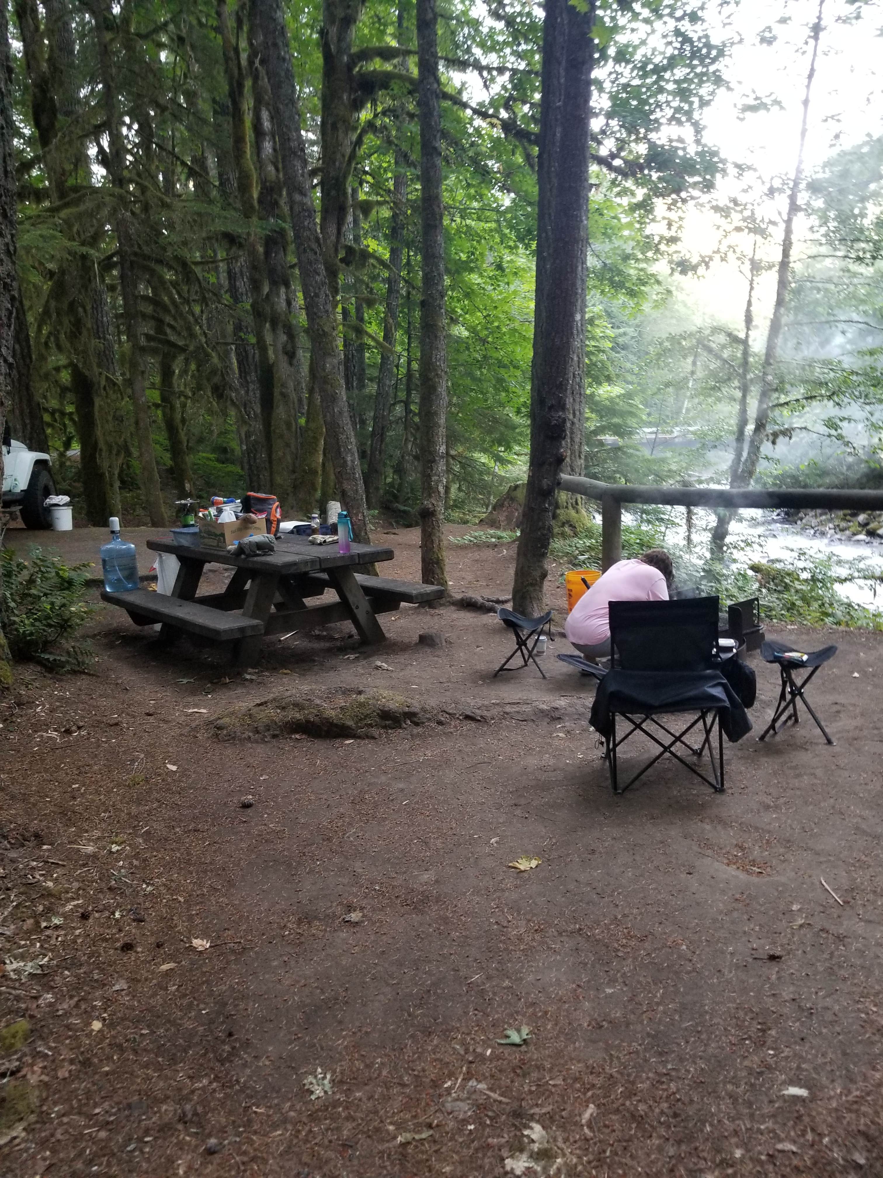 Camper submitted image from Gifford Pinchot National Forest North Fork Forest Camp Campground - 5