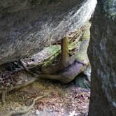 Review photo of Gifford Pinchot National Forest North Fork Forest Camp Campground by Brad D., June 30, 2021