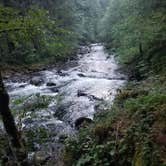 Review photo of Gifford Pinchot National Forest North Fork Forest Camp Campground by Brad D., June 30, 2021