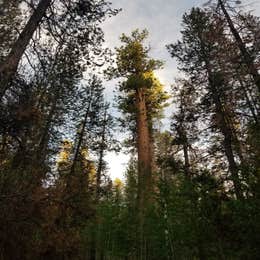 Butte Creek Campground