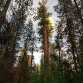 Review photo of Butte Creek Campground by Brad D., June 30, 2021