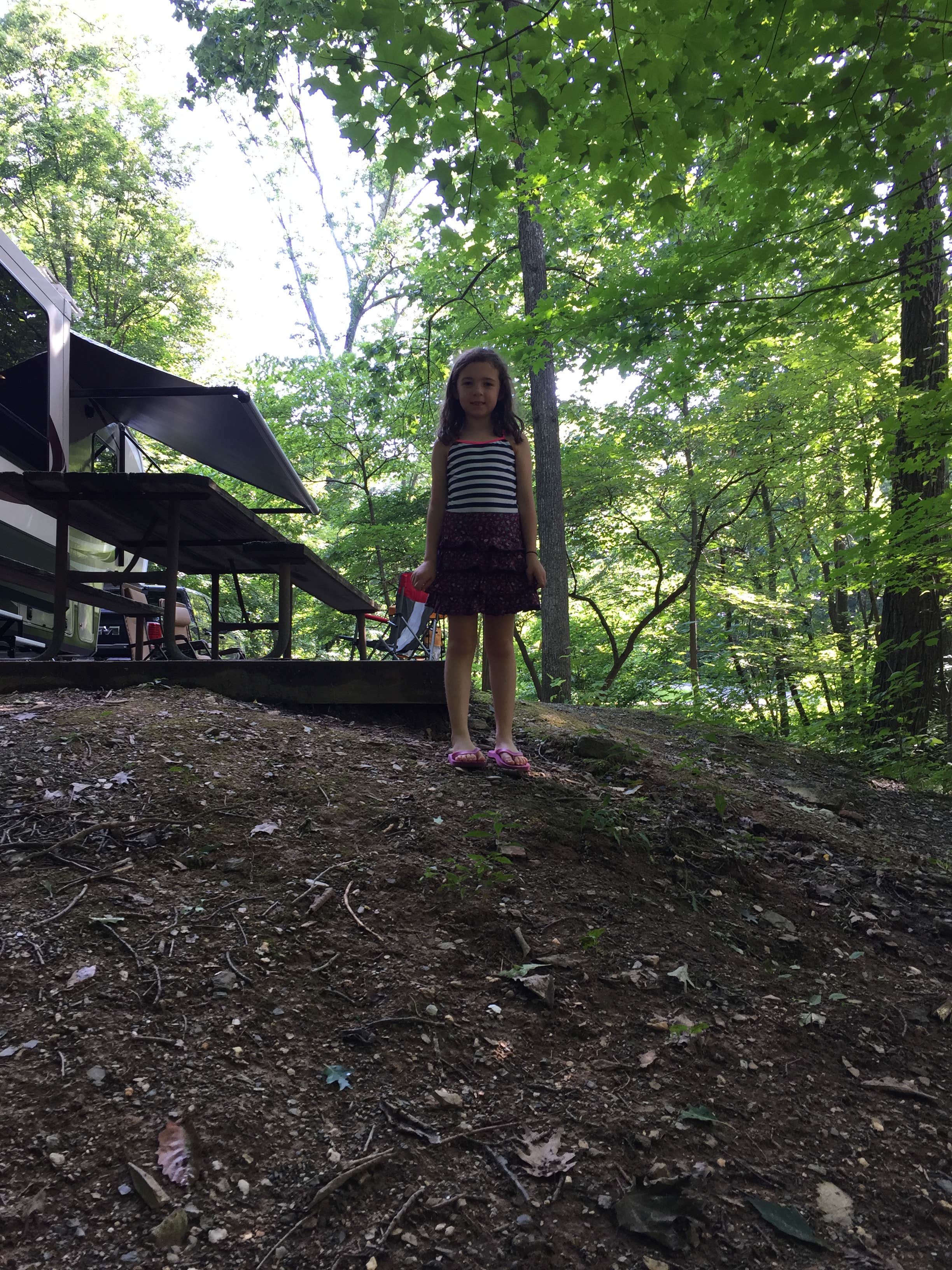 Camper submitted image from Manor - Cunningham Falls State Park - 4