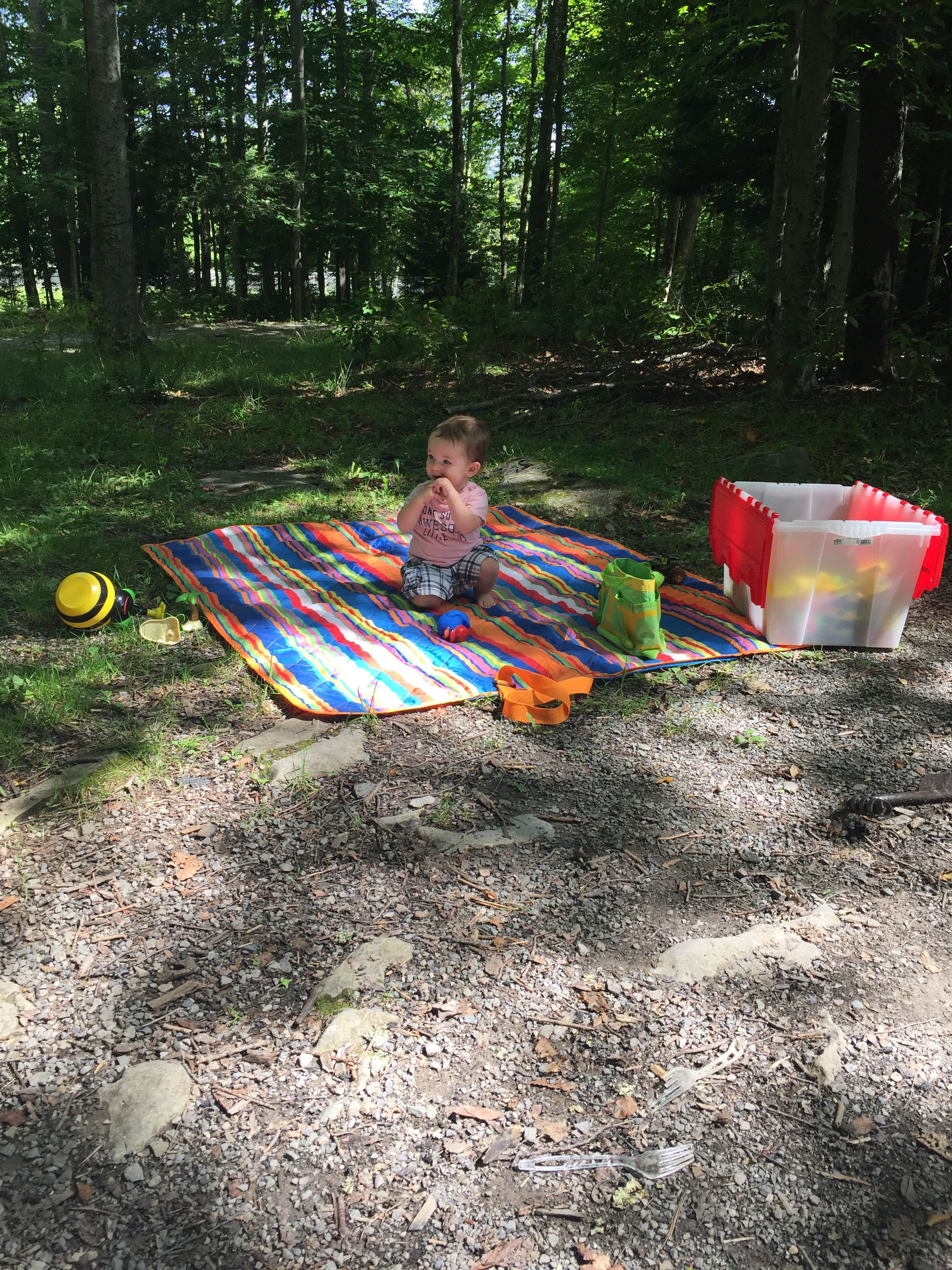 Regina C.'s photo at Canaan Valley Resort State Park Campground near Hambleton, WV