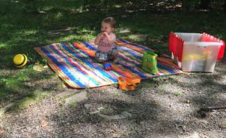 Regina C.'s photo at Canaan Valley Resort State Park Campground near Thomas, WV