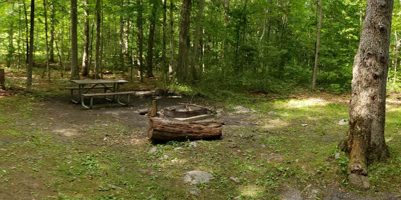 Camper submitted image from Steam Mill Campground